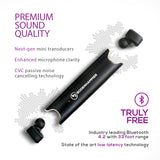 True Wireless Earbuds